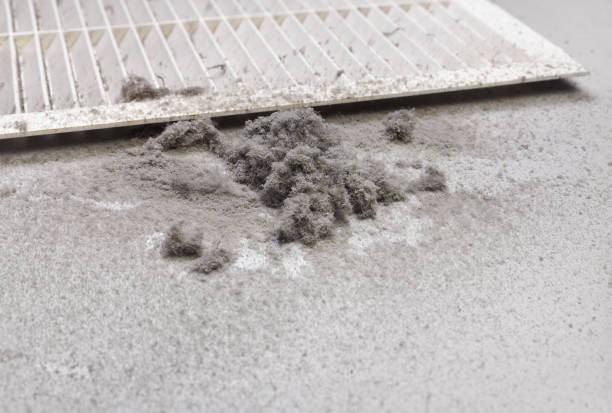 Best Best Air Duct Cleaning Company  in Muskegon, MI